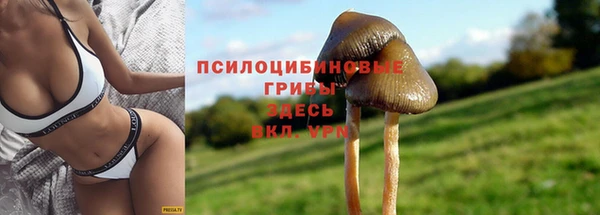 гашик Баксан